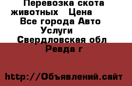 Перевозка скота животных › Цена ­ 39 - Все города Авто » Услуги   . Свердловская обл.,Ревда г.